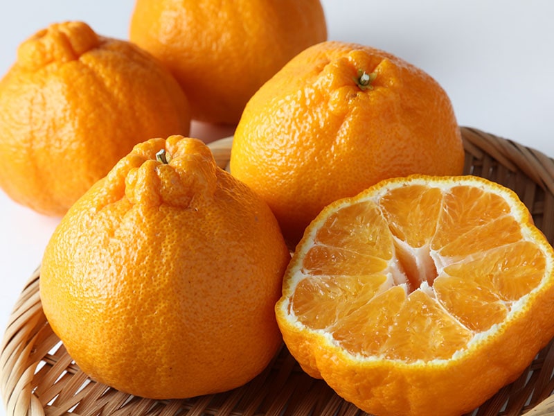 Dekopon Citrus Fruits