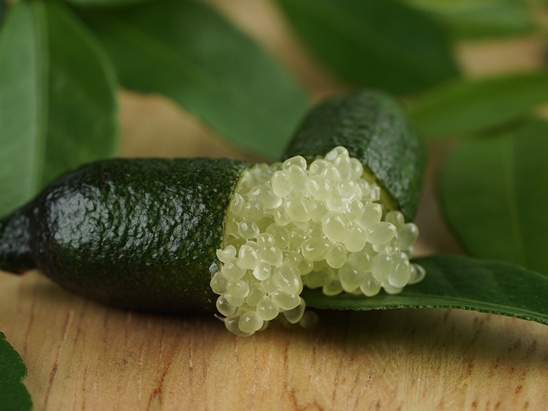 Finger Lime Citrus Fruits