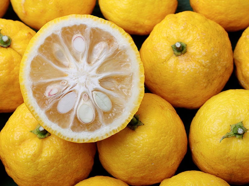 Yuzu Citrus Fruits