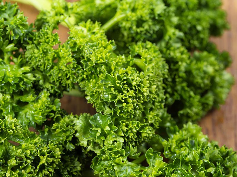 Curly Leaf Parsley