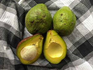 Avocado Indo