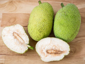 Breadfruit Haiti Lamveritab