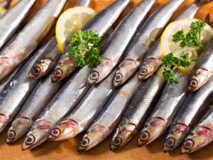 Gray Anchovies