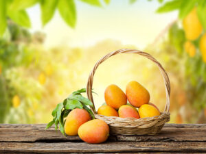 Mango Basket Leaves