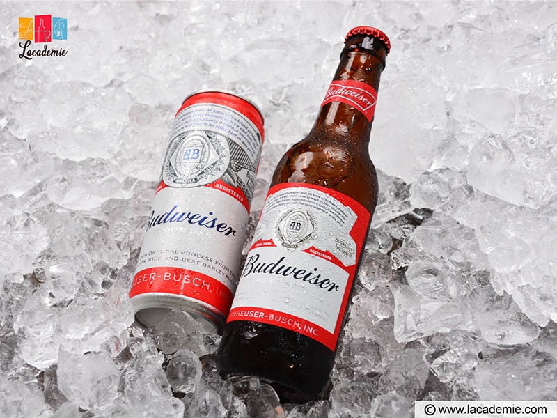 Budweiser Beer