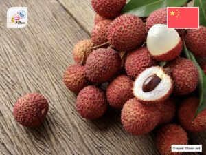 Chinese Fruits