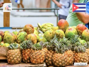 Cuban Fruits