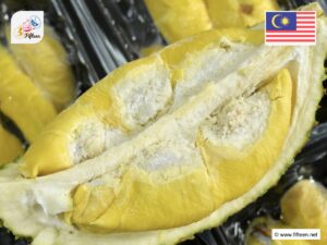 Malaysian Fruits