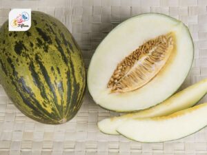 Santa Claus Melon​​