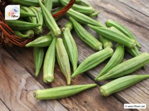 Vegetables That Start With Letter O