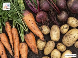 Root Vegetables