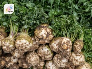 Celeriac