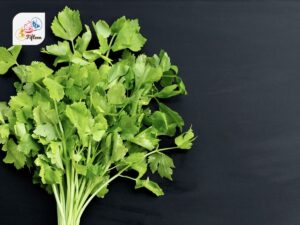 Chinese Celery