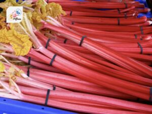 Rhubarb