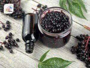 Elderberry