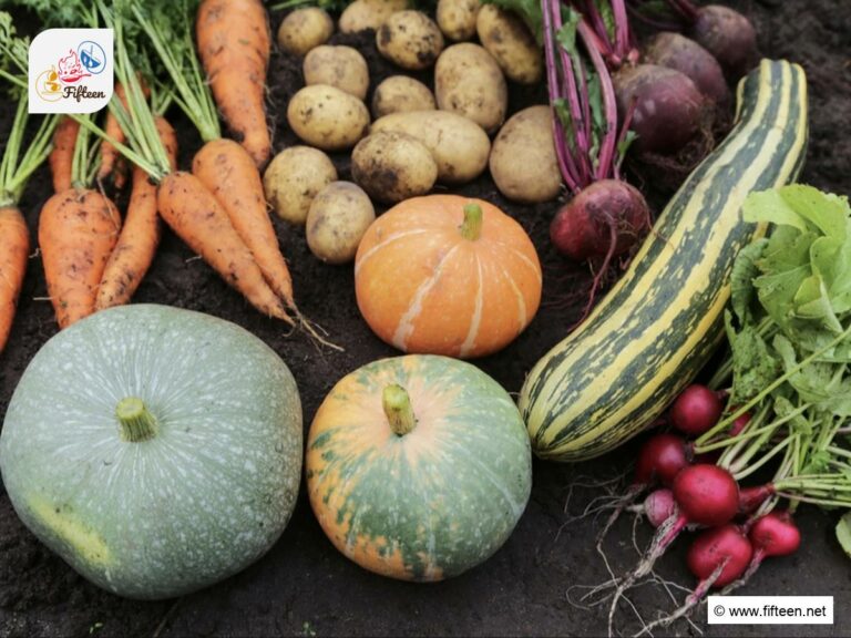 Fall Vegetables