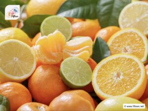 Types of Citrus Fruit