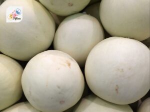 White Honeydew Melon