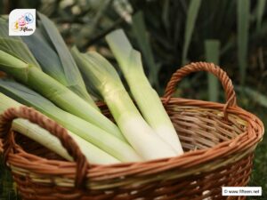 How To Store Leeks