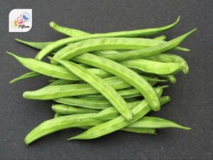 Cluster Bean