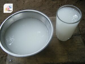 Palm Wine