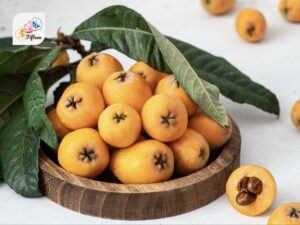 Loquat