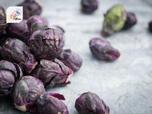 Purple Brussels Sprout