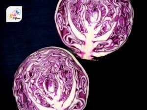 Purple Cabbage