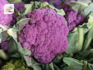 Purple Cauliflower