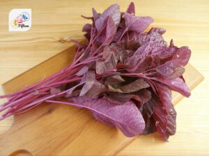 Red Spinach