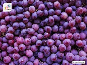 Purple Fruits