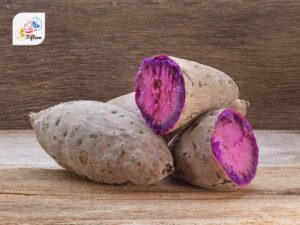 Purple Sweet Potato