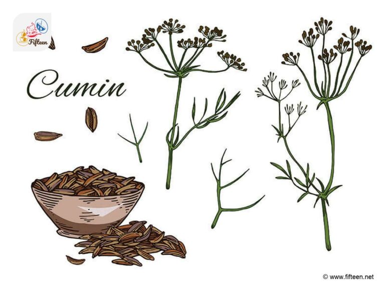 Types of Cumin