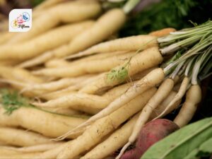 White Carrot