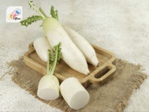 Daikon Radish