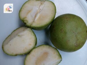 White Sapote