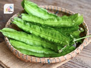 Winged Bean